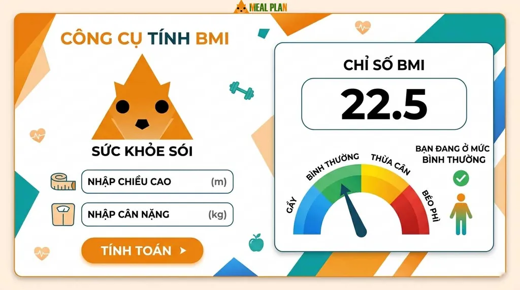 Công cụ tính BMI chuẩn cho người Việt giúp đánh giá chỉ số khối cơ thể chính xác