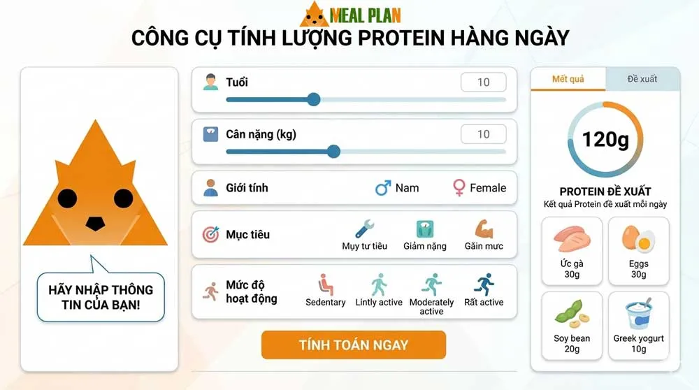 Công cụ tính lượng protein hàng ngày giúp xác định nhu cầu protein theo mục tiêu dinh dưỡng