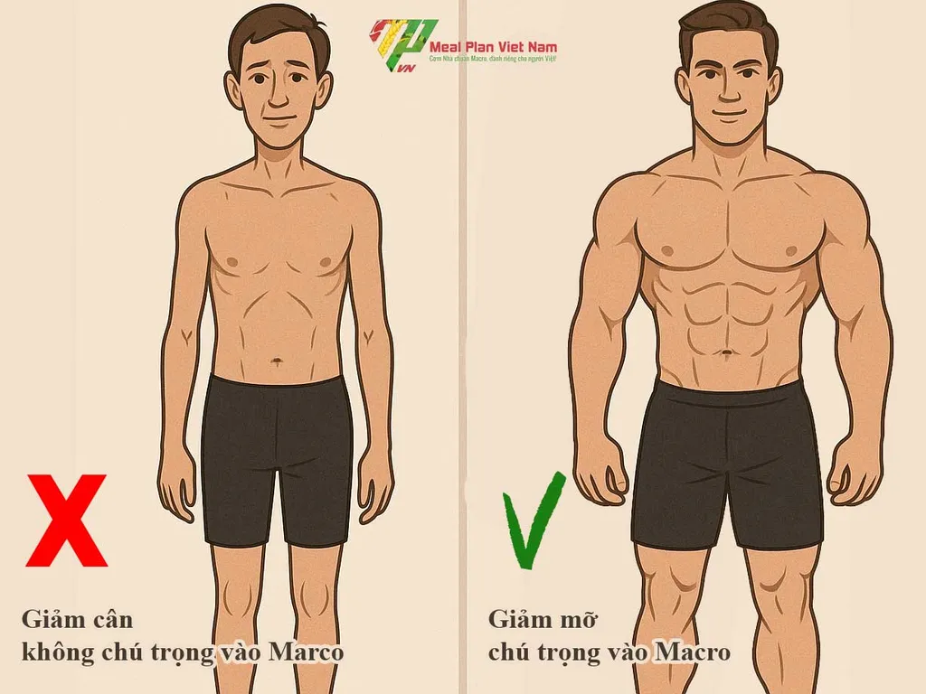 Thực đơn giảm cân và giảm mỡ là 2 lựa chọn hoàn toàn khác biệt