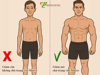 Thực đơn giảm cân giảm mỡ là 2 lựa chọn hoàn toàn khác biệt