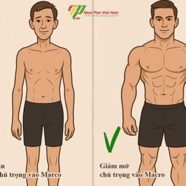 Ăn thâm hụt calo là gì? Hướng dẫn cách ăn an toàn để giảm cân