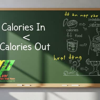 Ăn thâm hụt calo là gì? Hướng dẫn cách ăn an toàn để giảm cân