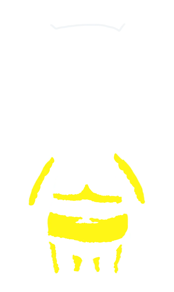 hinh-giai-phau-do-ty-le-mo-manleo1-1